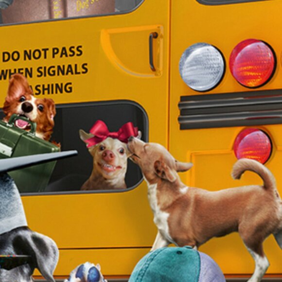 New sealed Ravensburger 150XXL Puzzle-Pet School Pals - Picture 8 of 16